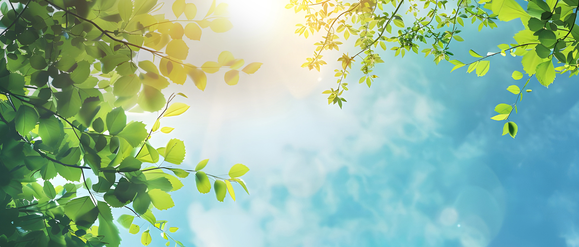 虎ノ門法律経済事務所 大阪支店